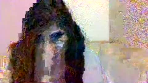 smurdle online show from October 2025 03:29:01 PM