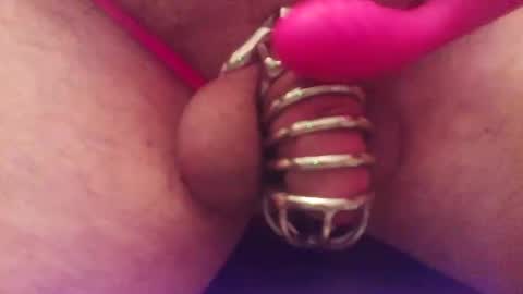 Snapshot of snakepit31 chatting on January 2026 08:25:02 PM Sissy Boy online show from January 2026 08:25:02 PM