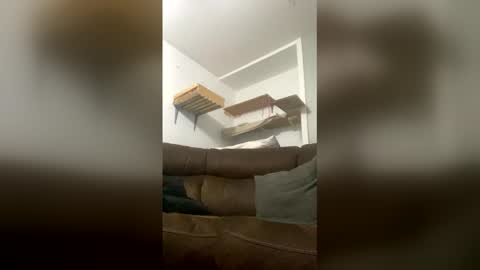 snowball5499 online show from March 2026 01:01:02 AM