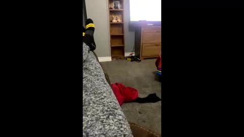 snowball5499 online show from April 2026 03:26:02 AM