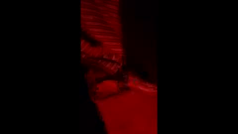 snqhephncxpu online show from March 2026 05:02:01 AM