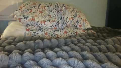 Snapshot of soccerstarnoww chatting on January 2025 10:00:02 AM soccerstarnoww online show from January 2025 10:00:02 AM