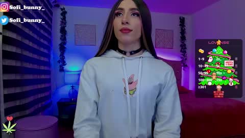 Snapshot of soffi_bunny_ chatting on December 2024 09:52:02 AM soffi_bunny_ online show from December 2024 09:52:02 AM
