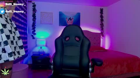 Snapshot of soffi_bunny_ chatting on February 2025 06:07:01 AM soffi_bunny_ online show from February 2025 06:07:01 AM