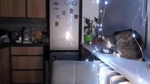 Snapshot of sofi_delightful chatting on January 2025 10:39:01 PM Sofi online show from January 2025 10:39:01 PM