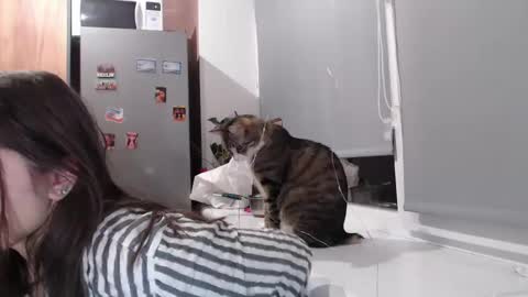 Snapshot of sofi_delightful chatting on February 2025 07:38:01 PM Sofi online show from February 2025 07:38:01 PM