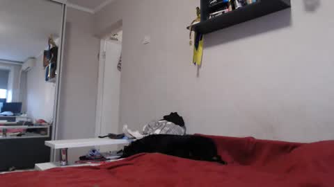 Snapshot of sofi_delightful chatting on November 2025 12:27:01 PM Sofi online show from November 2025 12:27:01 PM