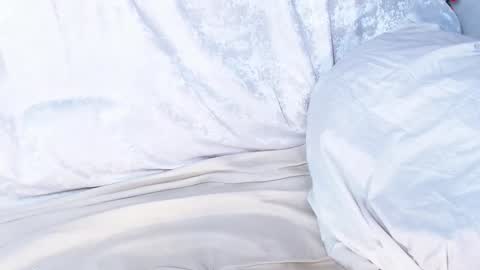 Sofia here online show from January 2025 06:27:02 AM