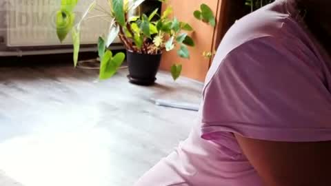    Sofia      welcome to my room      online show from July 2026 02:14:01 PM