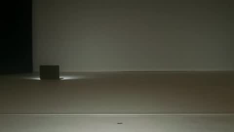 Ol4 online show from June 2026 08:51:01 AM