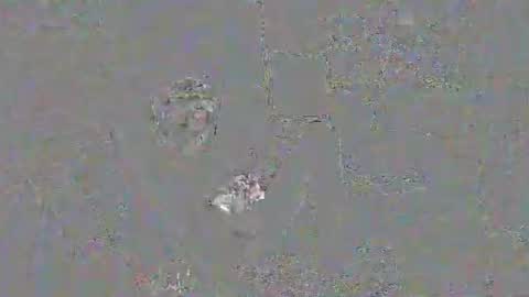 solilay online show from March 2026 02:28:02 PM