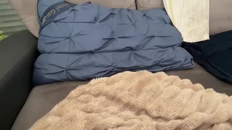 Snapshot of sombre_sdelices chatting on February 2026 11:11:01 AM Tayla online show from February 2026 11:11:01 AM