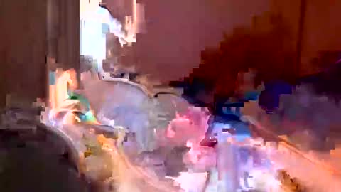 somers87 online show from March 2026 11:54:02 AM