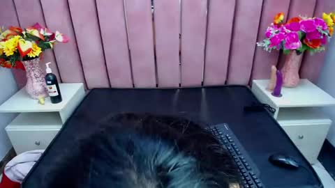 sophi_hardd online show from December 2024 10:13:01 PM