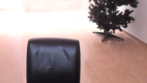 Snapshot of sophia_harry chatting on December 2024 01:38:02 PM sophia CM online show from December 2024 01:38:02 PM