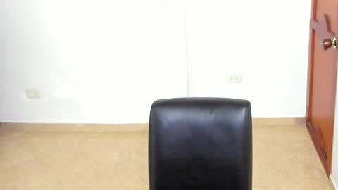 Snapshot of sophia_harry chatting on January 2025 08:46:02 PM sophia CM online show from January 2025 08:46:02 PM