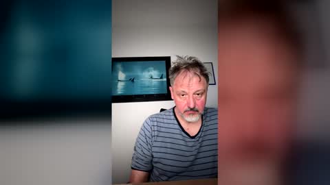 Soundshark online show from May 2026 12:07:01 AM