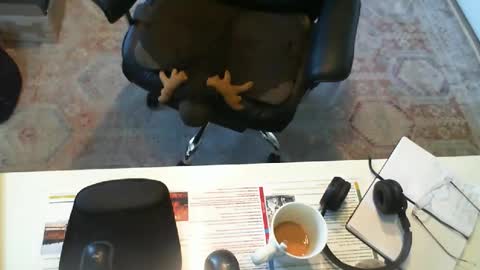 Snapshot of southernbones chatting on September 2025 03:06:01 PM SOUTHERNBONES online show from September 2025 03:06:01 PM