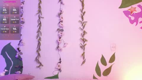      online show from February 2025 02:51:02 AM