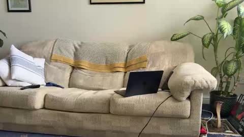 spaceman_fun online show from March 2026 10:59:02 AM