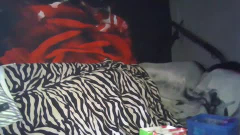 Daddy  His Splash Queen online show from September 2025 08:13:01 PM