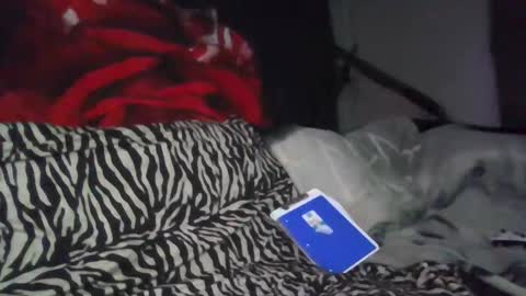 Daddy  His Splash Queen online show from September 2025 04:29:01 AM