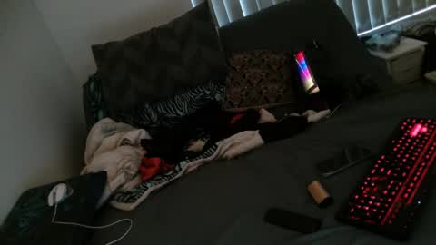 spreadyabhutt online show from February 2026 10:39:01 PM