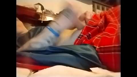 spundaddyandprincess online show from December 2024 03:15:01 AM