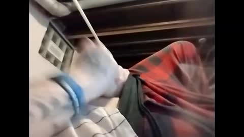 spundaddyandprincess online show from December 2024 06:00:02 AM