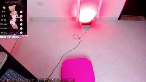 Snapshot of squeersex1 chatting on December 2024 05:48:02 AM KIMY TEKASHI online show from December 2024 05:48:02 AM