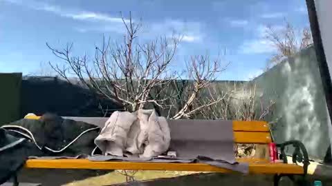 Snapshot of squirt_bunny77 chatting on March 2025 10:02:01 AM My name is Maya Lush is activeThere are legends that in this room all your wishes can come true Private is Open online show from March 2025 10:02:01 AM