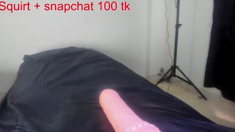 Snapshot of squirtle_girl chatting on December 2024 09:56:01 PM  Lizzy online show from December 2024 09:56:01 PM