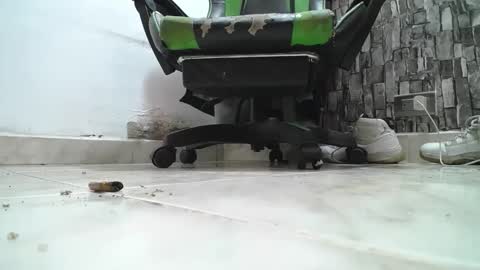 sr master cum its my old account online show from April 2026 06:03:01 PM