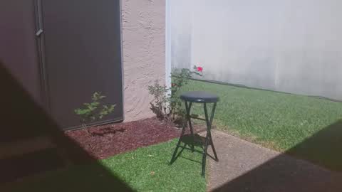 srtxshow online show from March 2026 04:34:02 PM