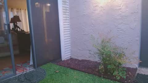 srtxshow online show from April 2026 12:02:01 PM