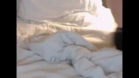 st8llion online show from February 2025 01:38:01 AM