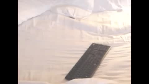 st8llion online show from November 2025 02:12:01 AM