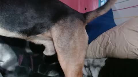 Sinserity online show from April 2026 09:23:01 PM