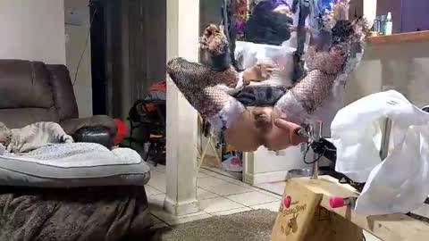 Submissive Slut LOVES adoration online show from November 2025 07:20:01 AM