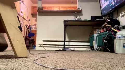 Submissive Slut LOVES adoration online show from February 2026 04:41:01 PM