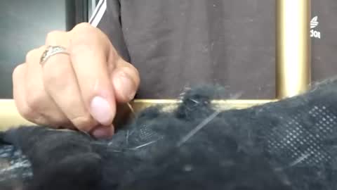 Katalleya and Steban online show from January 2025 05:31:01 AM