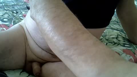 Rocco-load online show from December 2024 01:46:01 PM