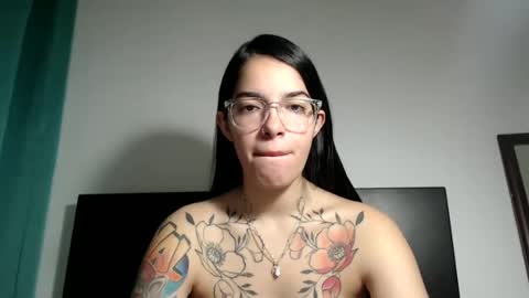 Snapshot of stella_art chatting on January 2025 10:55:01 PM Stella online show from January 2025 10:55:01 PM