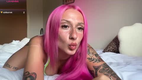 stellacorbet online show from June 2026 09:24:01 PM
