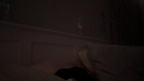 stelladams online show from June 2026 07:31:01 AM