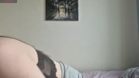 Snapshot of stellafalt chatting on November 2025 09:32:02 AM Stella online show from November 2025 09:32:02 AM