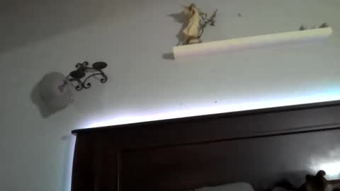 Stellateamo69 online show from May 2026 04:10:01 AM