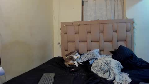 Snapshot of stepcouple__ chatting on January 2026 11:51:01 PM Stepcouple online show from January 2026 11:51:01 PM