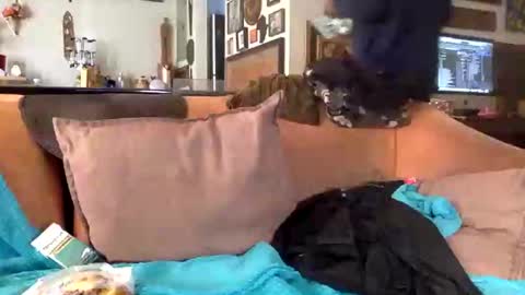 Snapshot of stevemason718 chatting on February 2025 08:51:02 PM STEVE CASHMASTER 1comedia online show from February 2025 08:51:02 PM