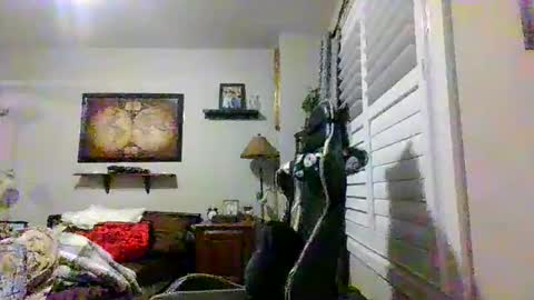 steveross33 online show from March 2026 12:04:01 AM